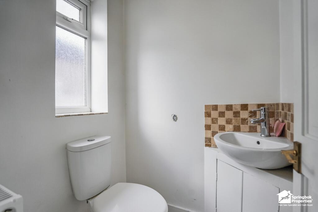 IMAGE 7