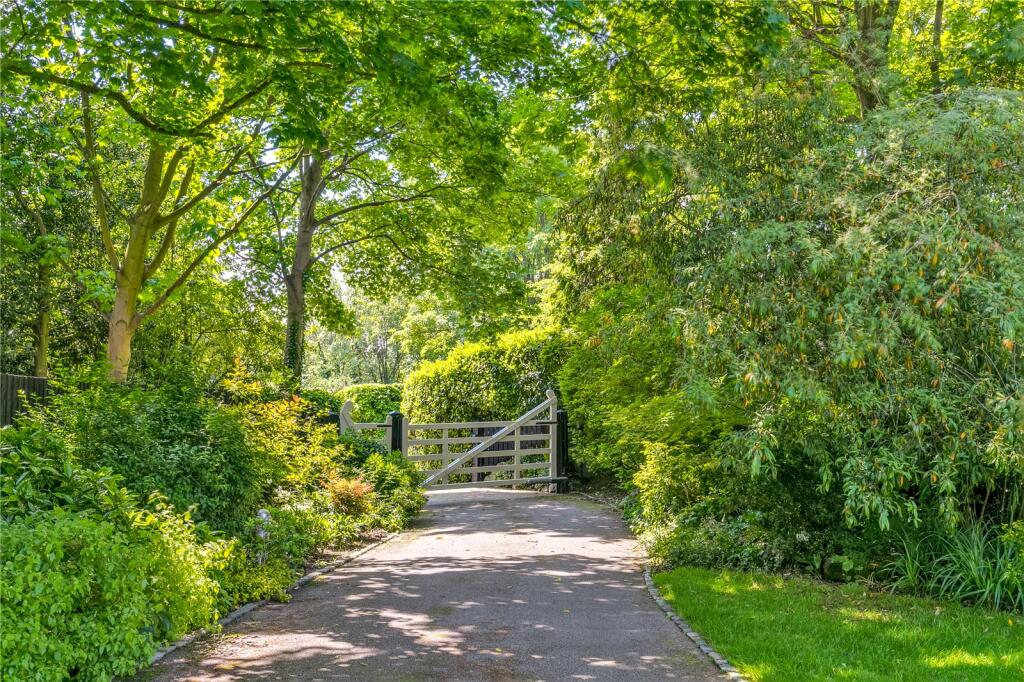Driveway Entrance