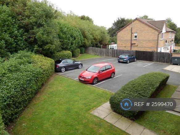 Car Park View From Window
