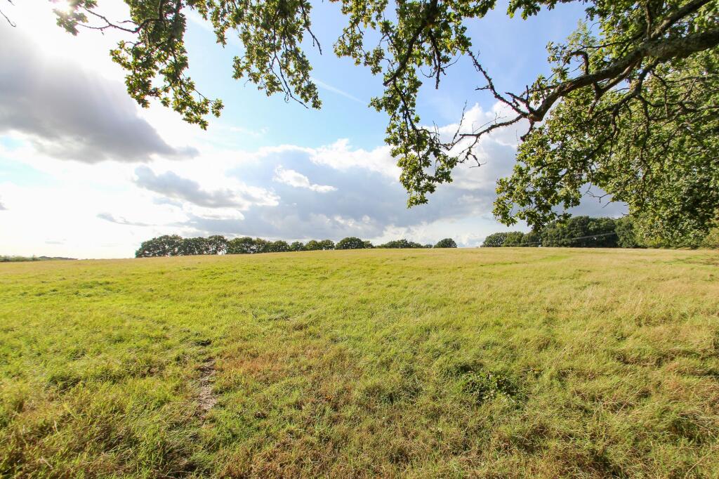 9 acre field