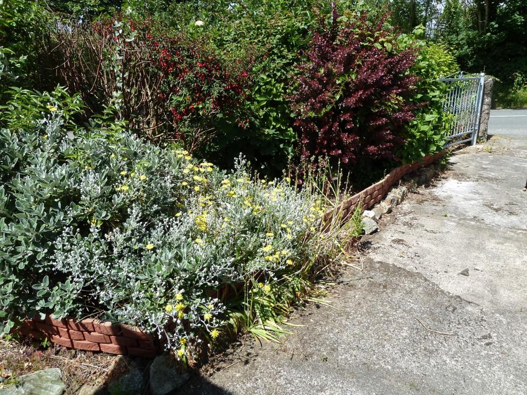 Front garden