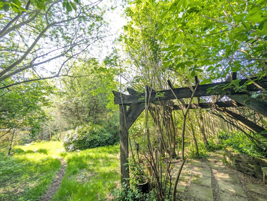 Back Garden 6.jpg
