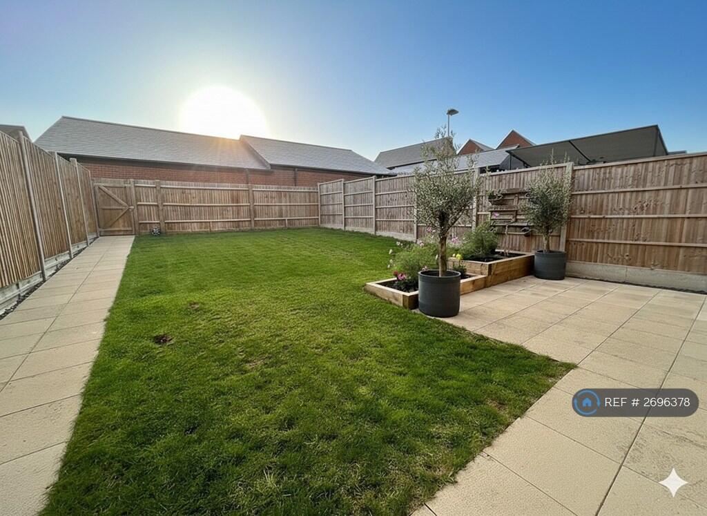 Back Garden 