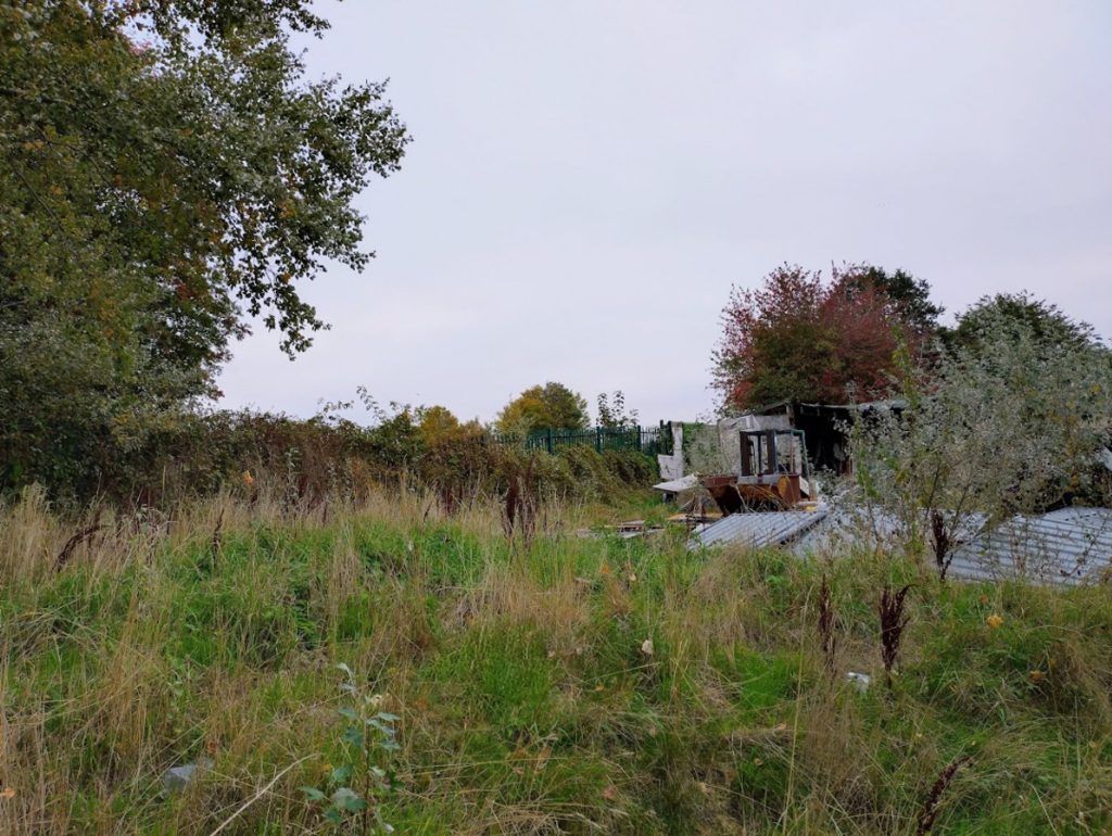 The Site from Access Road