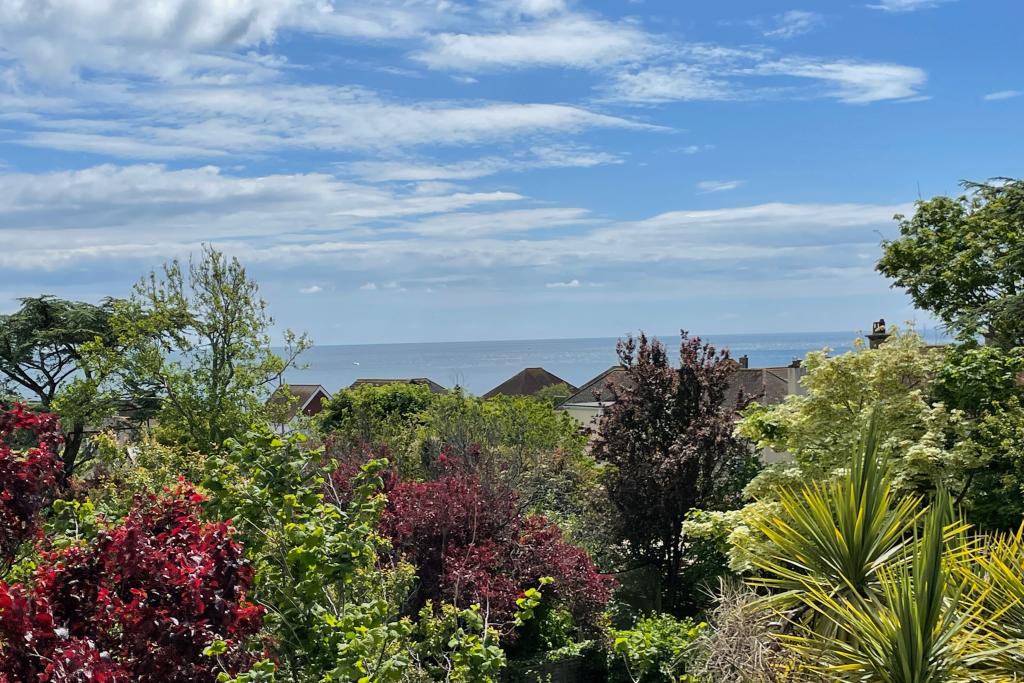 View from Bedroom