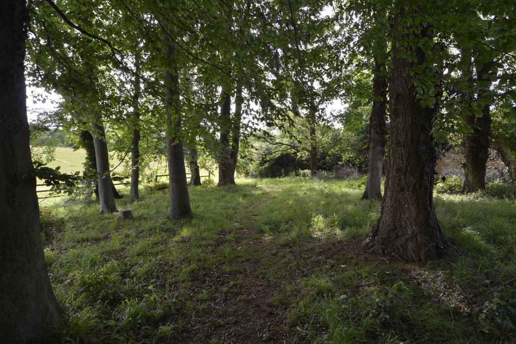 Northcourt__GRM4771_