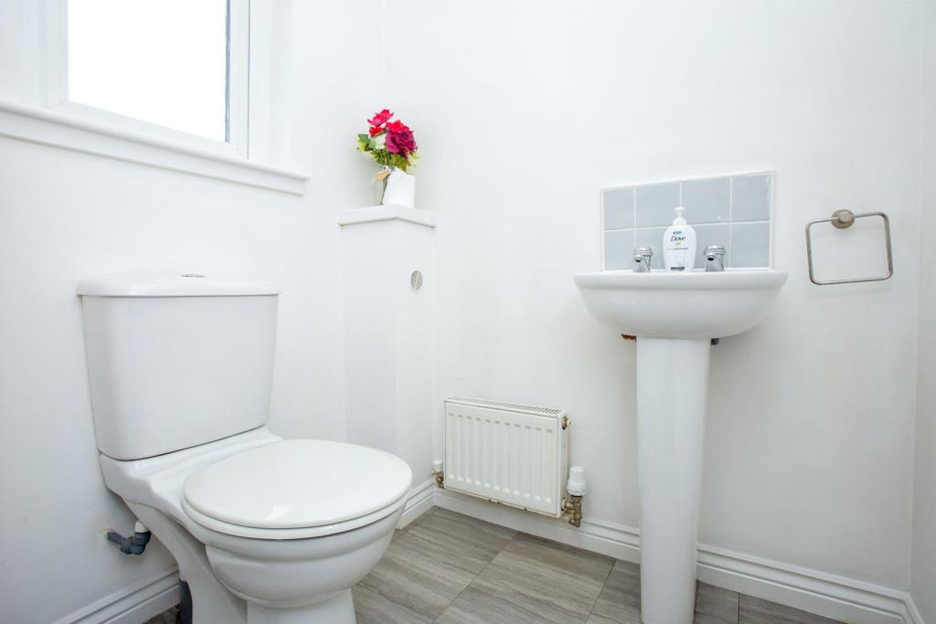 Downstairs Cloakroom