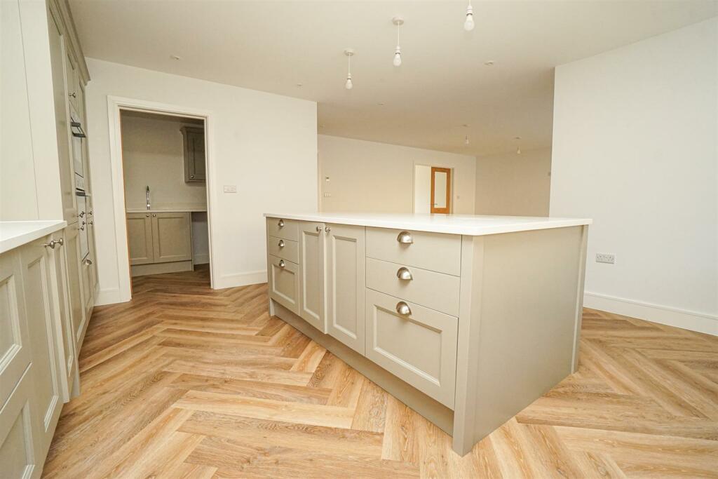 DSC07663_Alto.jpg