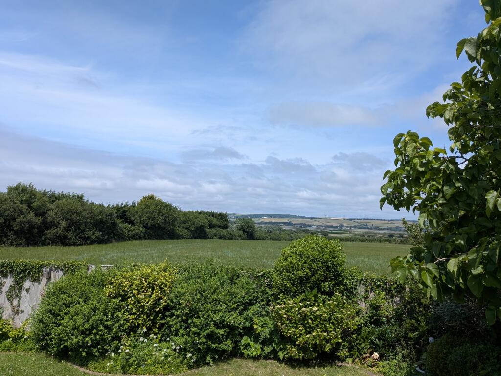 Views from the end of the garden