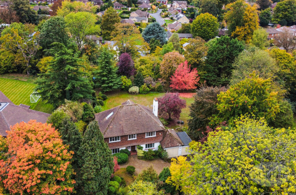 02f8051b-6f9c-449...