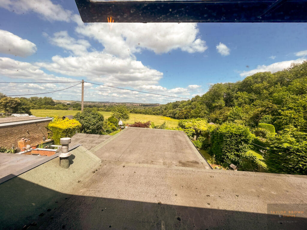 1000047233