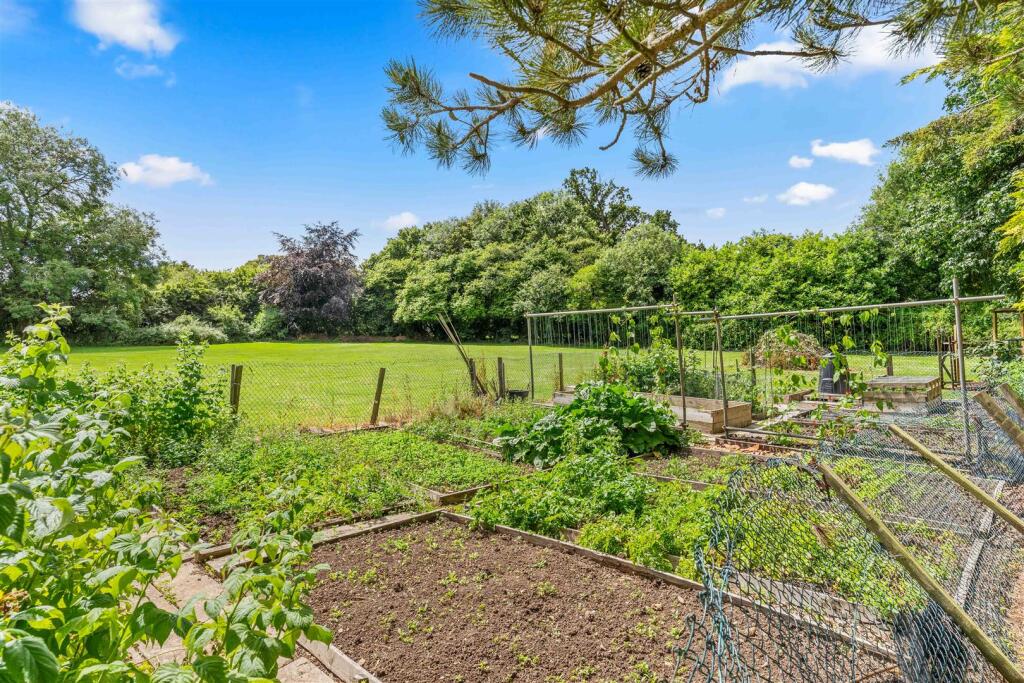 Vegetable plots.jpg