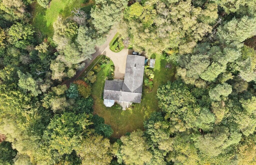 aerial shot