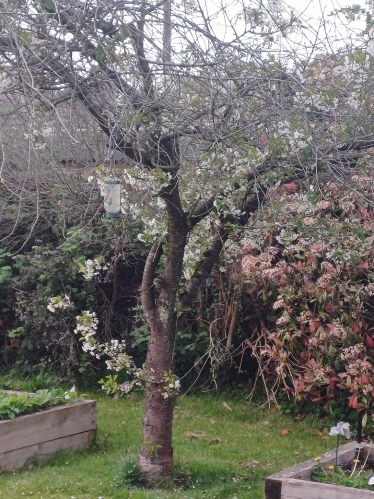 Photo 26