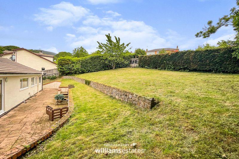 Back Garden