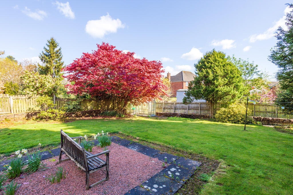 External - Rear Garden