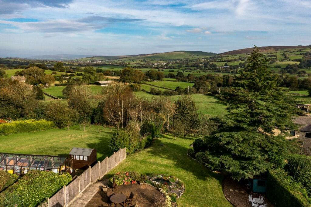 DJI_0774 (1).jpg