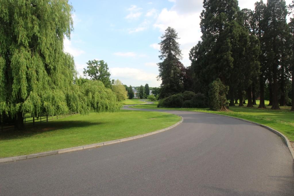 Driveway 