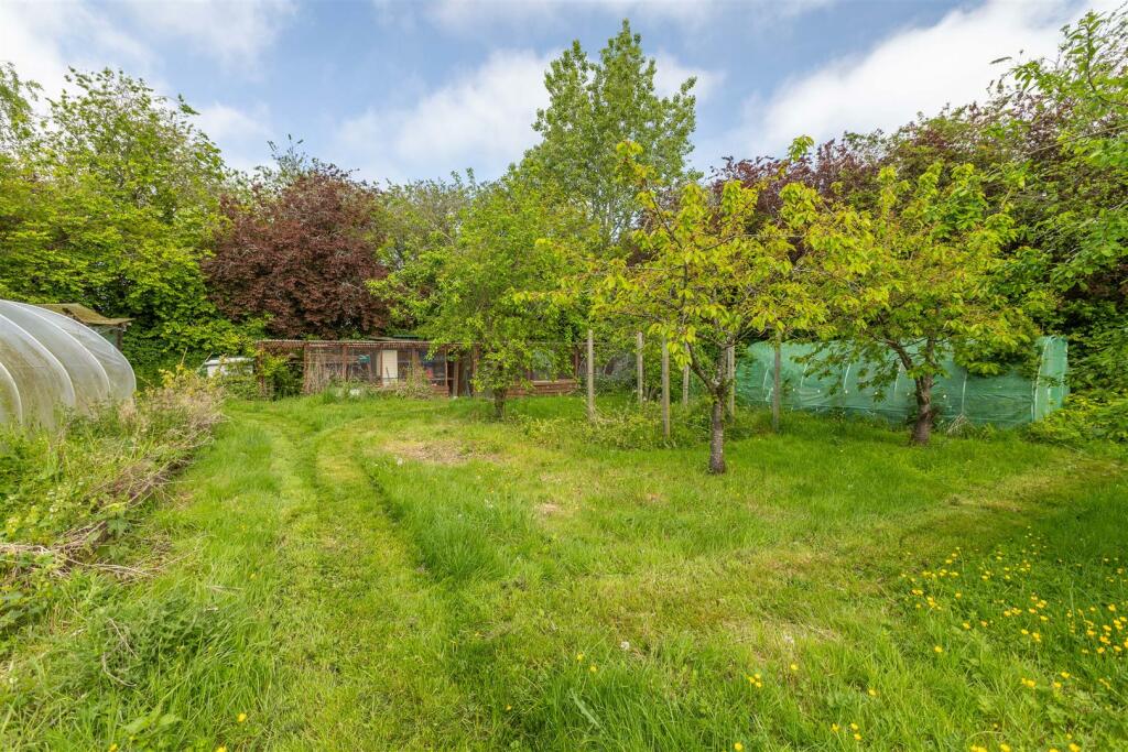 Orchard &amp; polytunnels