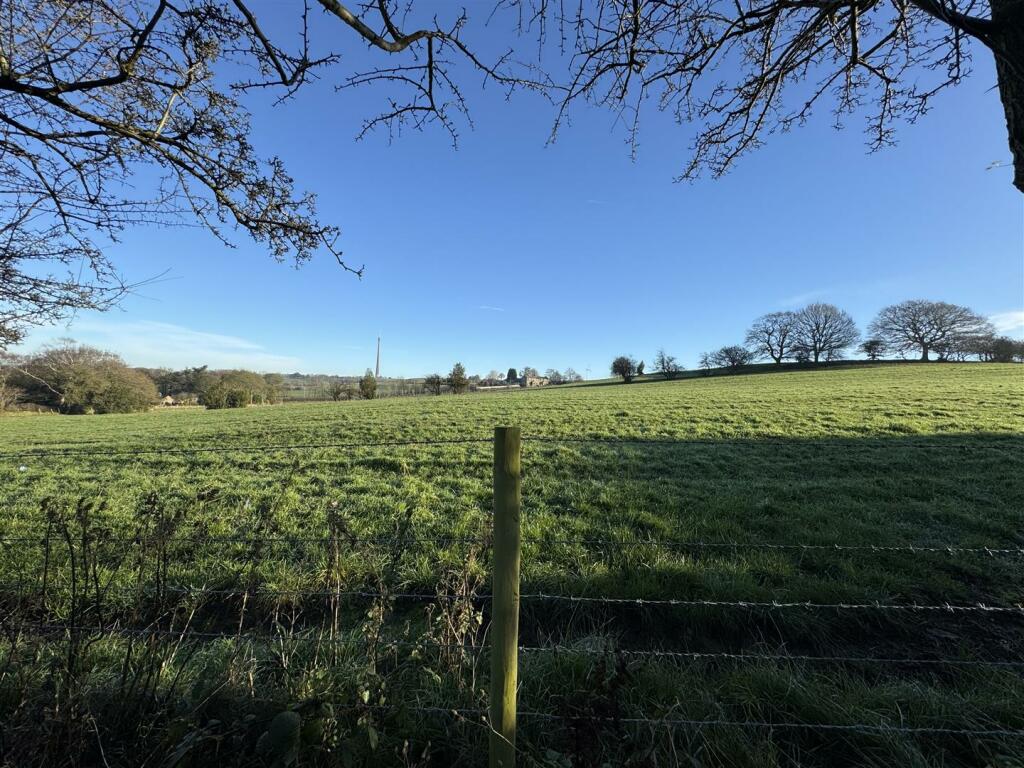 VIEWS FROM THE GARDEN