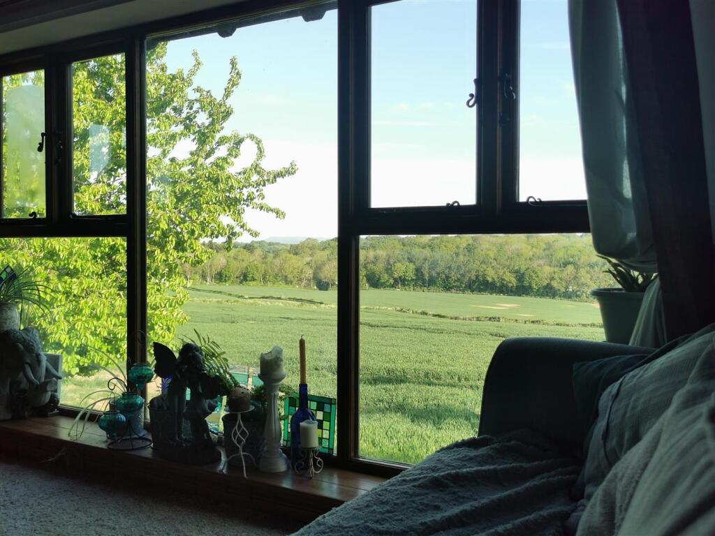 view from living room.jpg