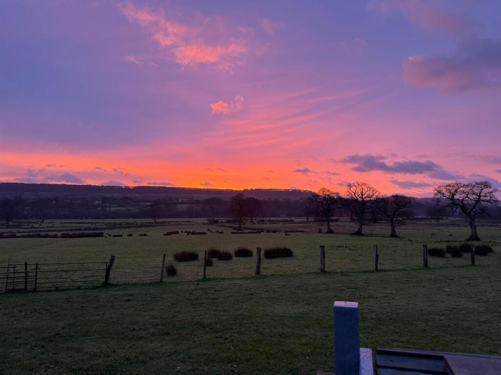 Vendor sky photo.jpg