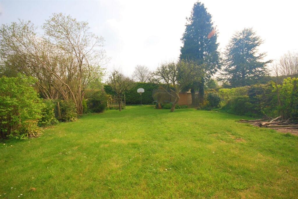 rear garden 3.jpg