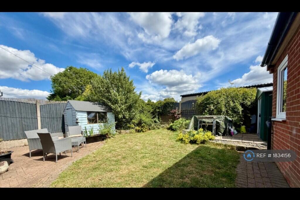 Back Garden