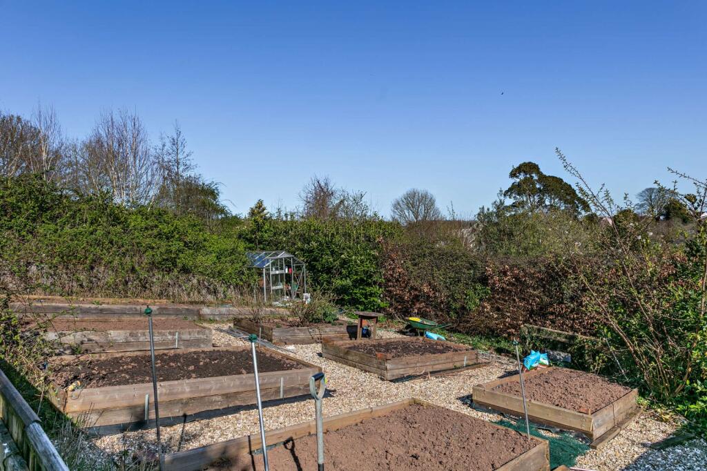 Vegetable Garden