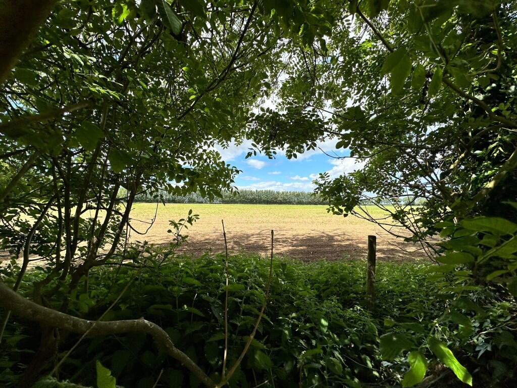 2  Medium  T202506121519.jpeg