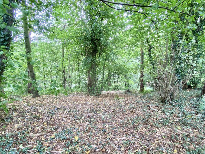 Woodland