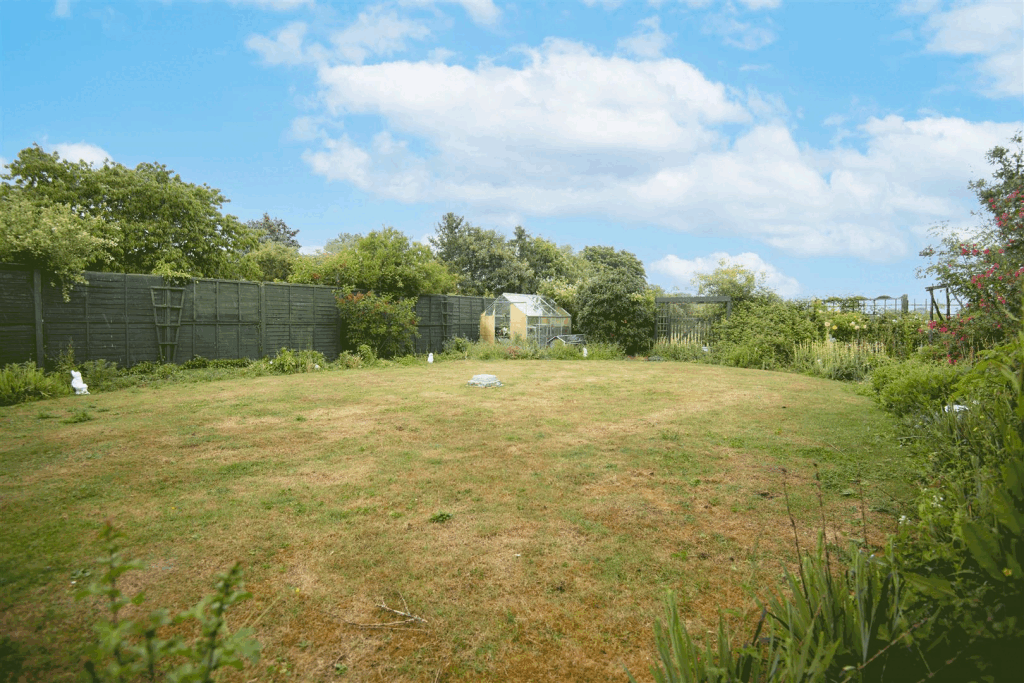 DSC_0081-3.gif