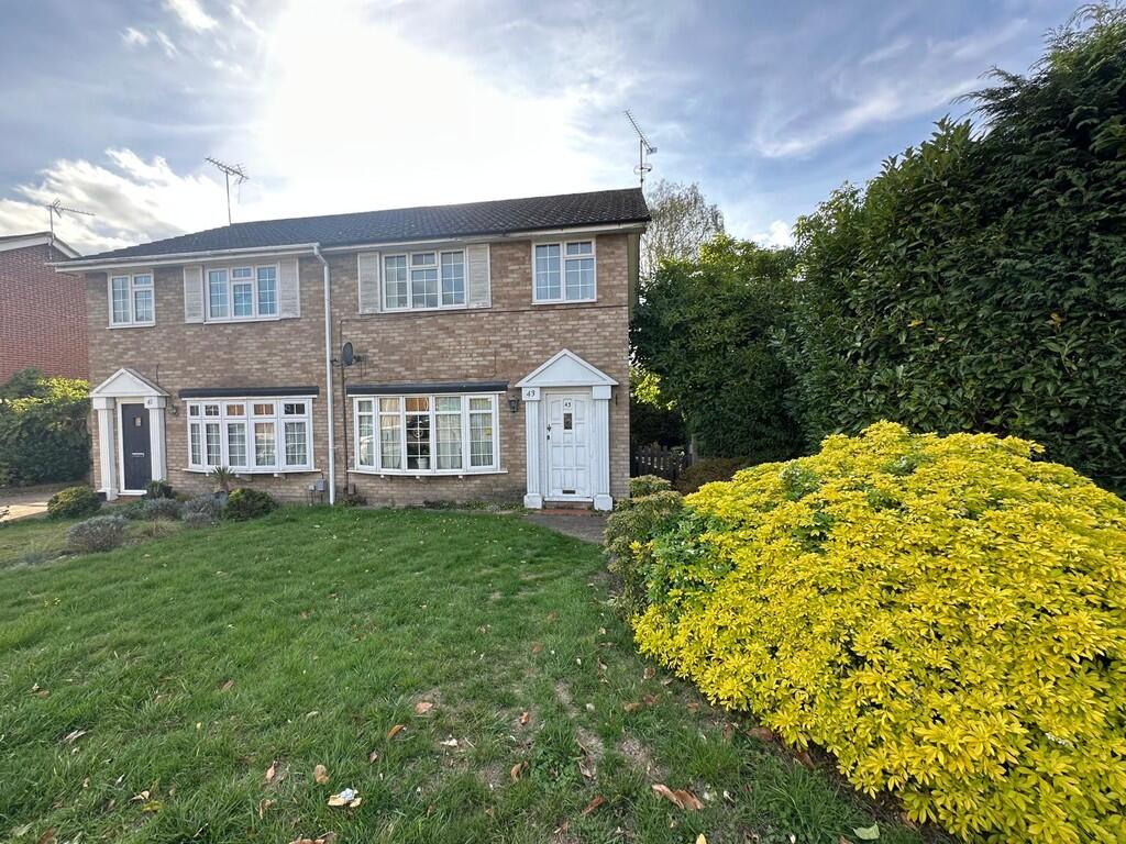 WhatsApp Image 20...