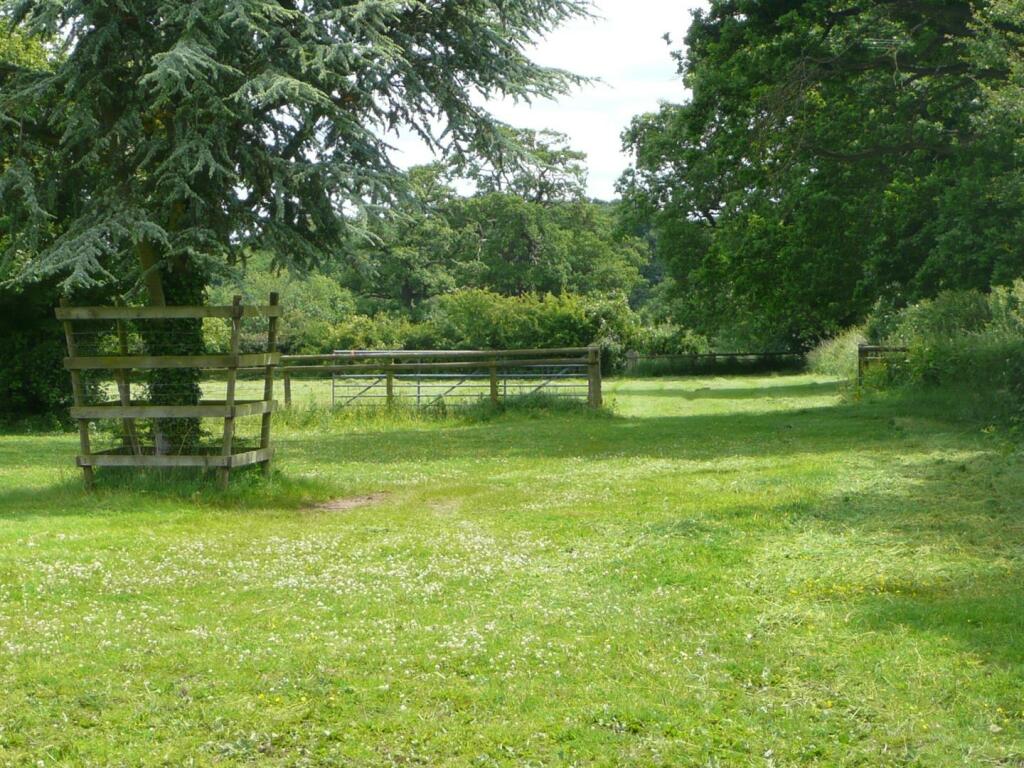 Paddock Land