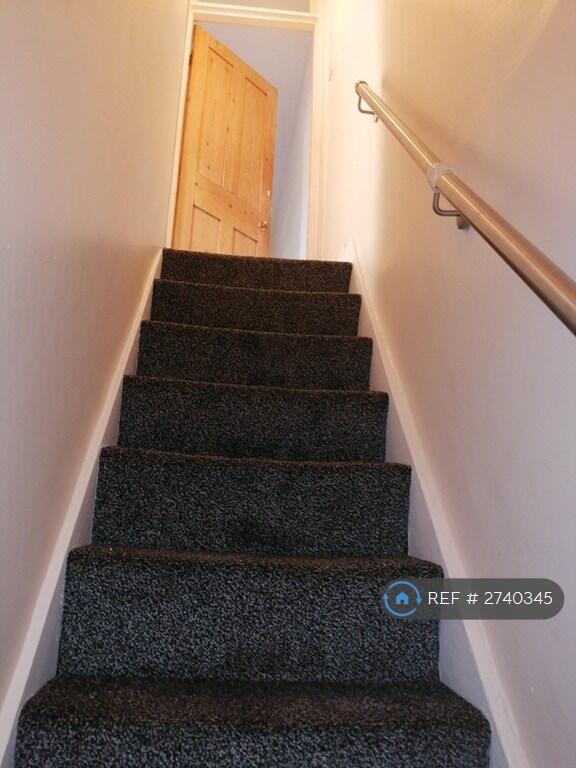 Staircase With New Carpet