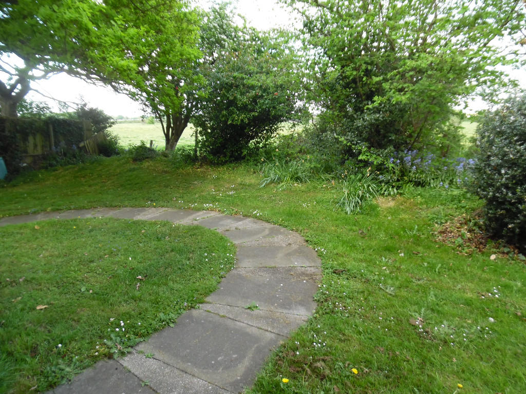Communal Garden