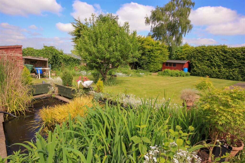 Garden and pond.jpg