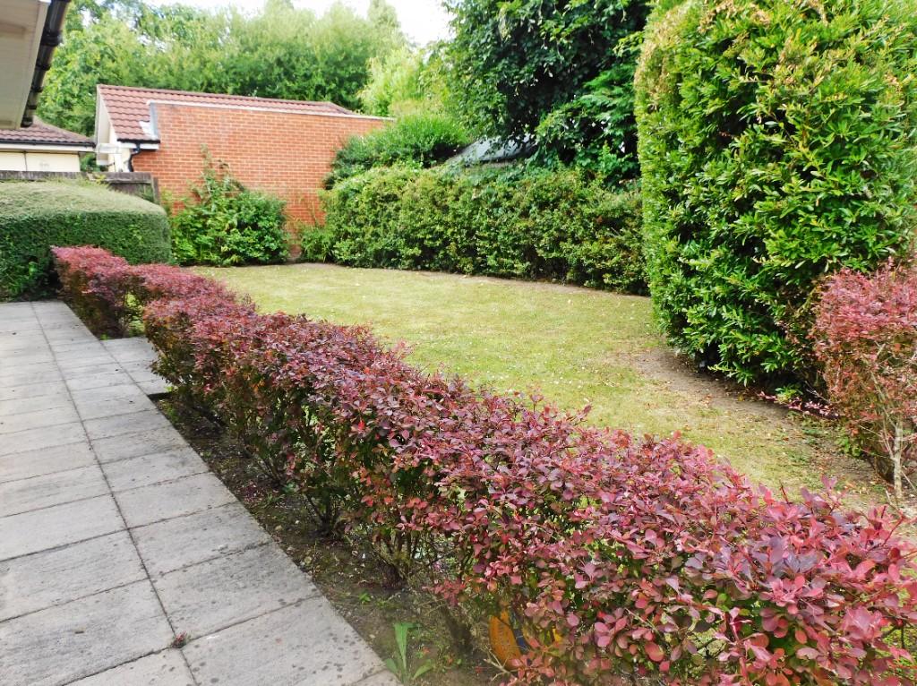 Communal Garden