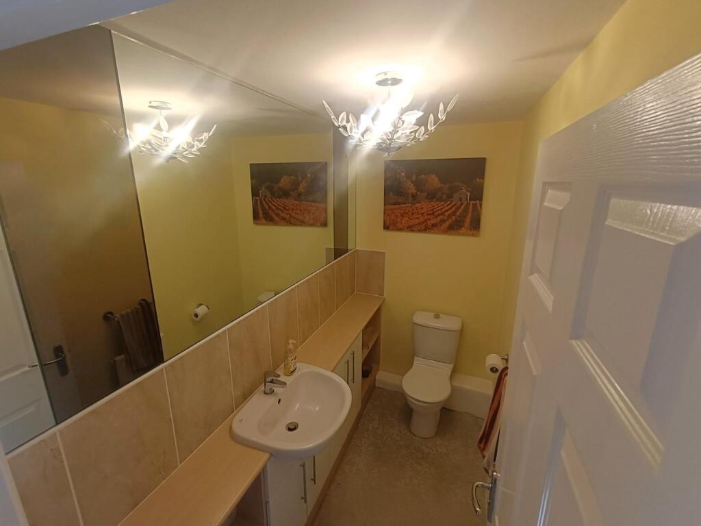 IMG20241031122954.jpg