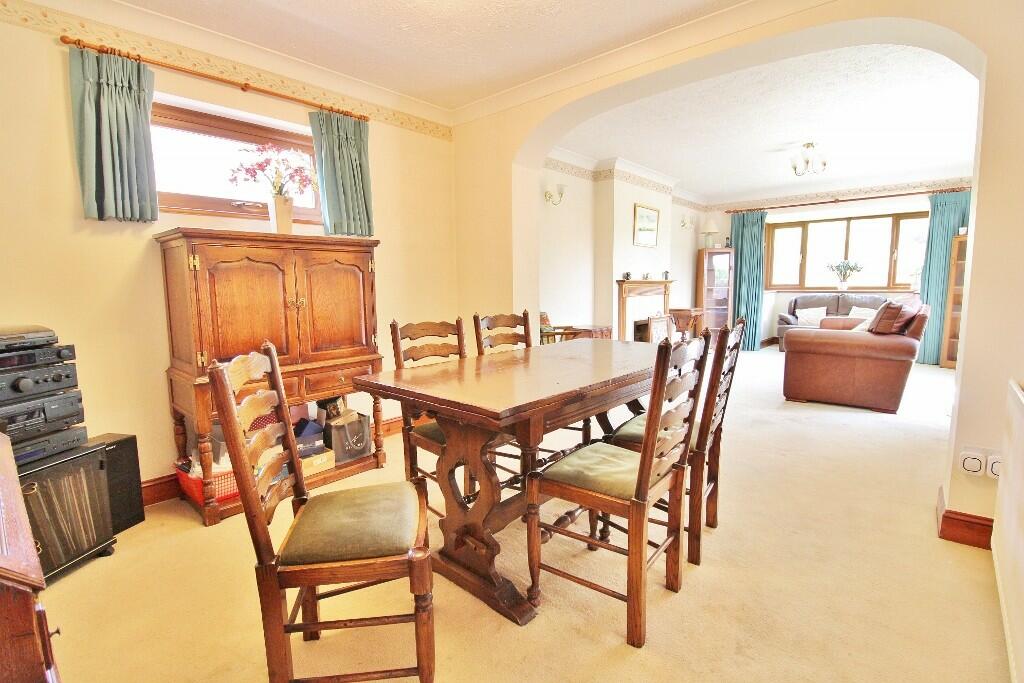 IMG_5505 (1024x68...