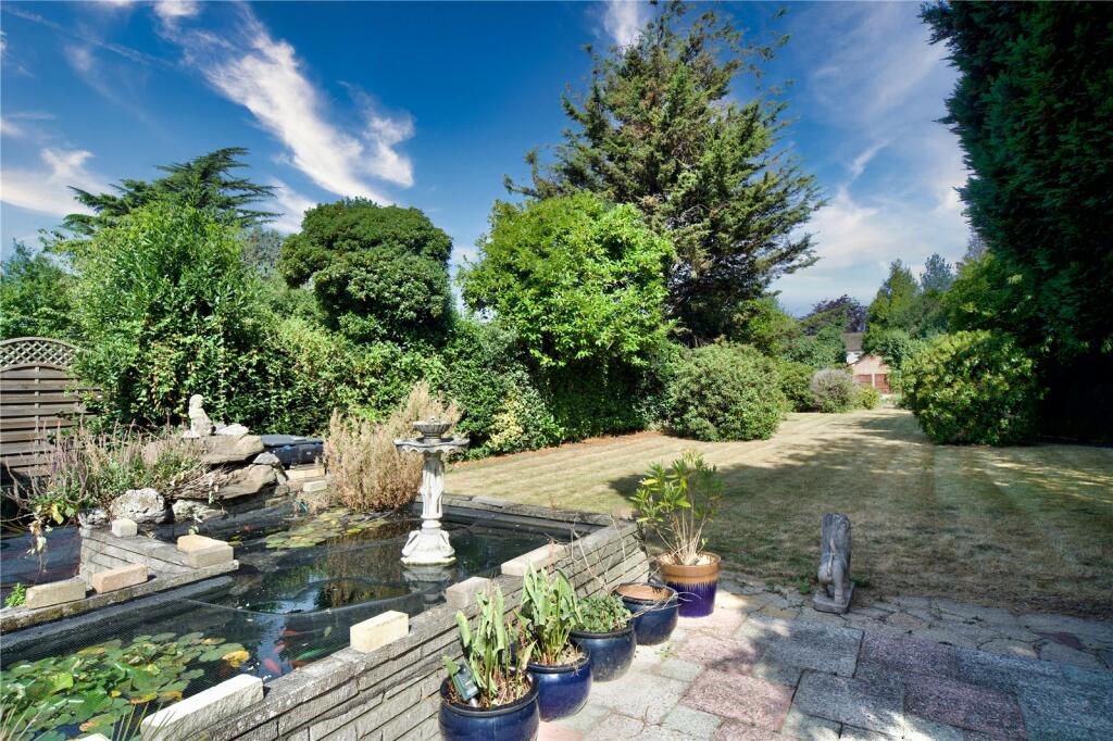 Fish Pond