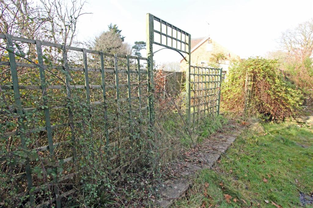 24 IMG_4636 trellis.jpg