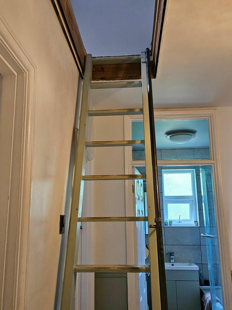 Ladder to to the Loft Room