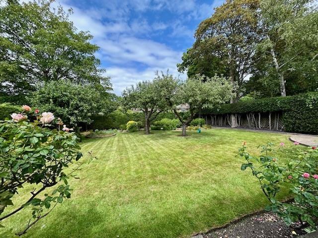 7 Devonshire Drive garden 6.jpg