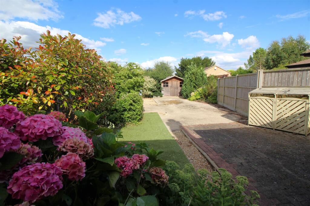 garden 1.JPG
