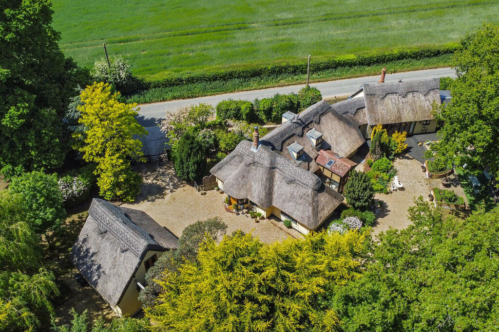 PT-DB(WP)-TheGran...