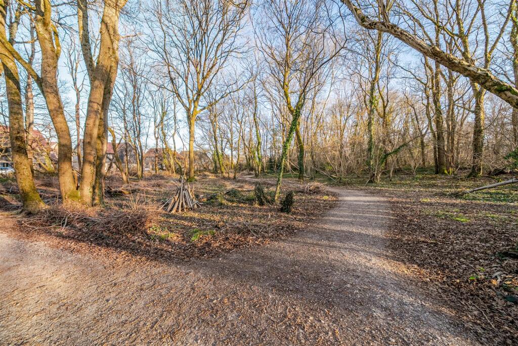Woodland Opposite