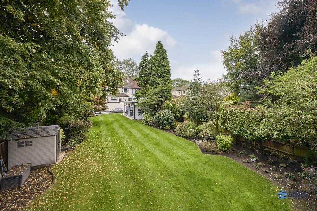 Back Garden