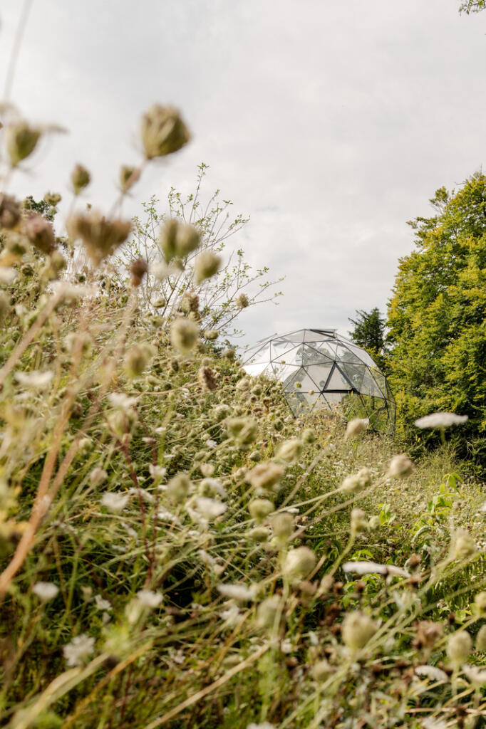 234011 - 20240828-CAMP-RD_TMH-23_HI_RES.JPG