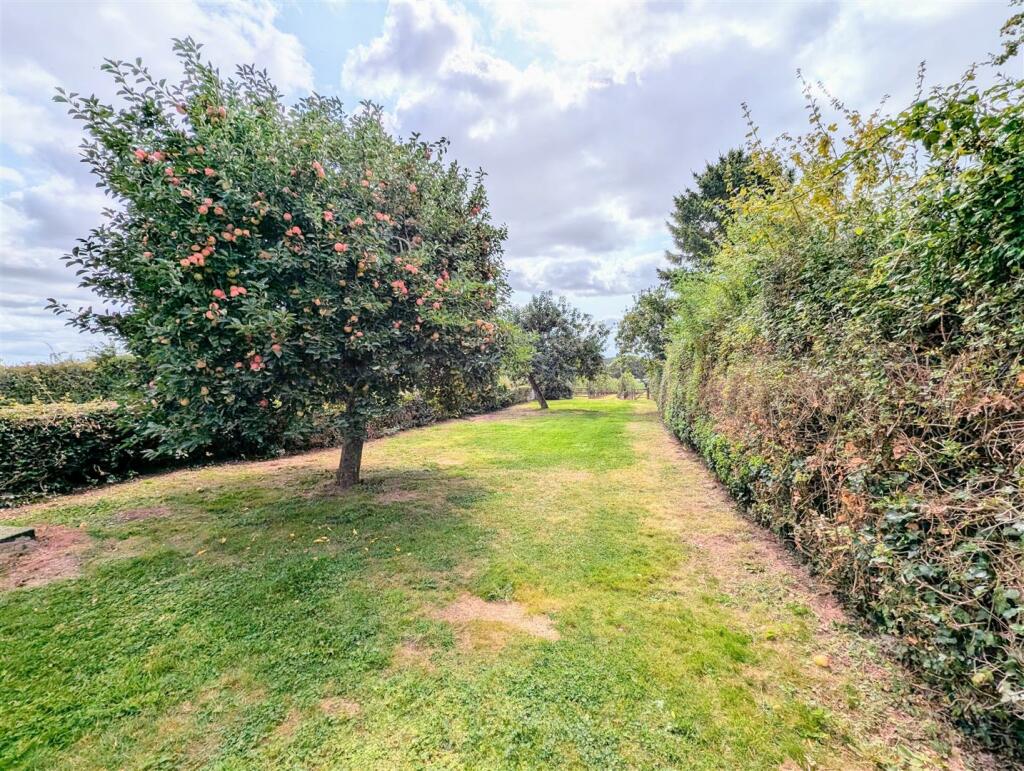 front &amp; rear  (2).jpg